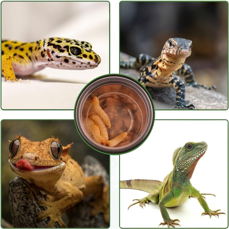 YOJOR 0.5oz Crested Gecko Food and Water Feeding Cups, Reptile Feeder Bowls, Plastic Replacement Food Dish for Lizard and Other Small Pet Ledge Accessories (100 pcs) - Image 3